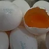 яйцо куриное ПП Дивеевское в Москве